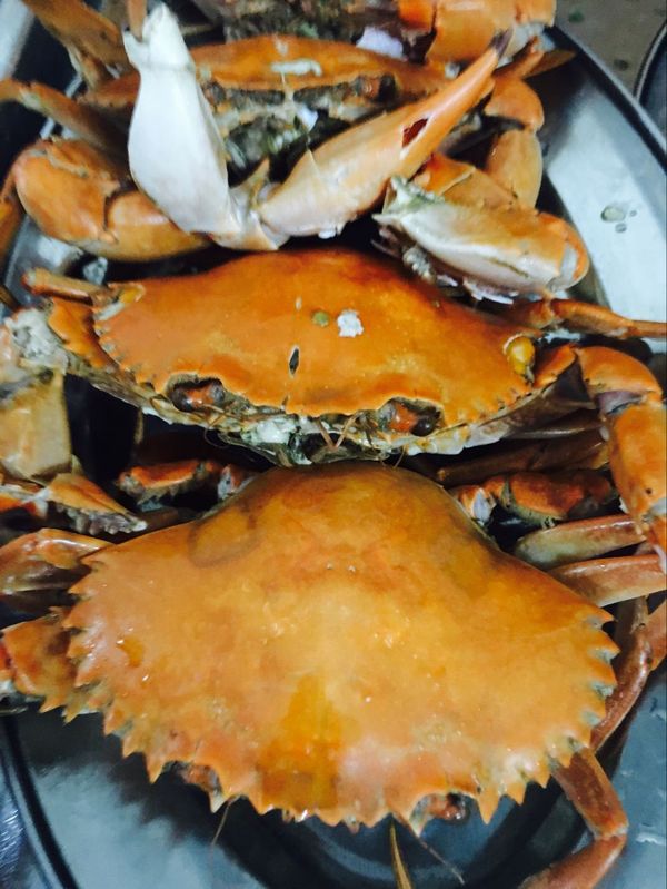 去三亚旅游美食攻略自由行,三亚亲子度假攻略四天三晚嗨翻天