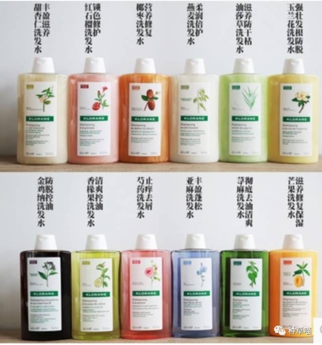公认的最好用的5款洗发水,分享下目前正在使用的几款洗发水