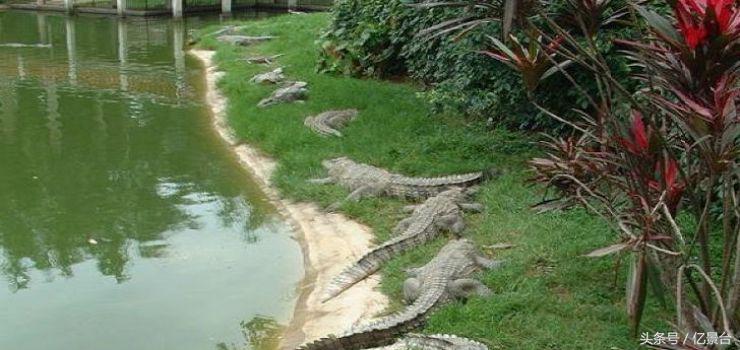 渝北区十大景点,渝北风景优美的景点