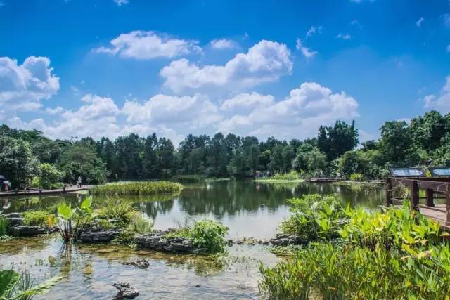 广州清明节假期旅游攻略路线推荐,清明节旅游推荐广州
