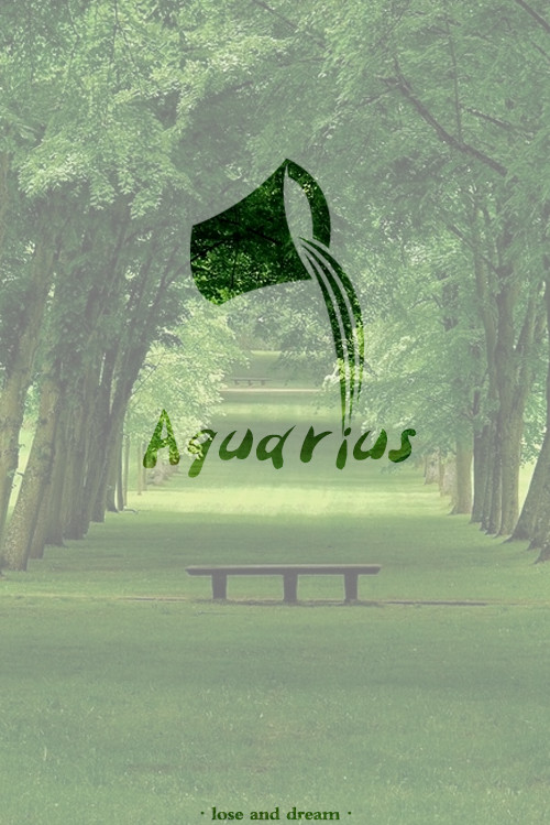 十二星座壁纸图片高清手机,十二星座高清动态触摸壁纸下载