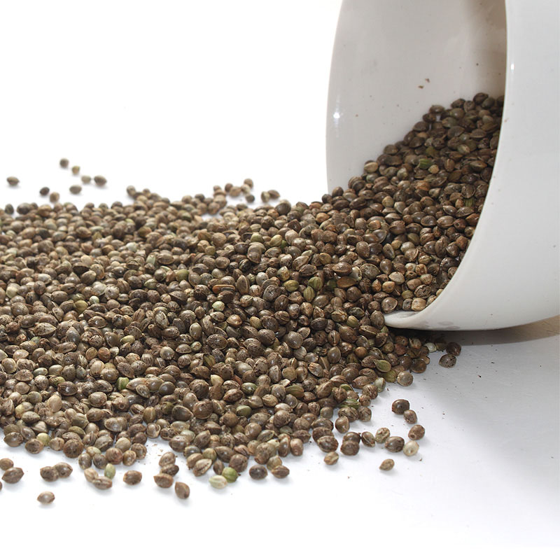 长寿火麻米粉怎么样,巴马长寿火麻茶