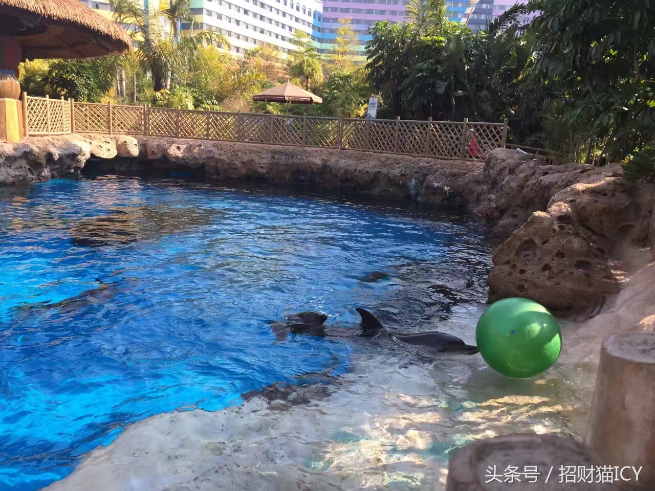 珠海长隆奇幻之旅,广州珠海长隆两天一夜攻略