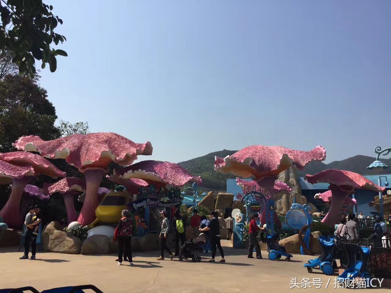 珠海长隆奇幻之旅,广州珠海长隆两天一夜攻略