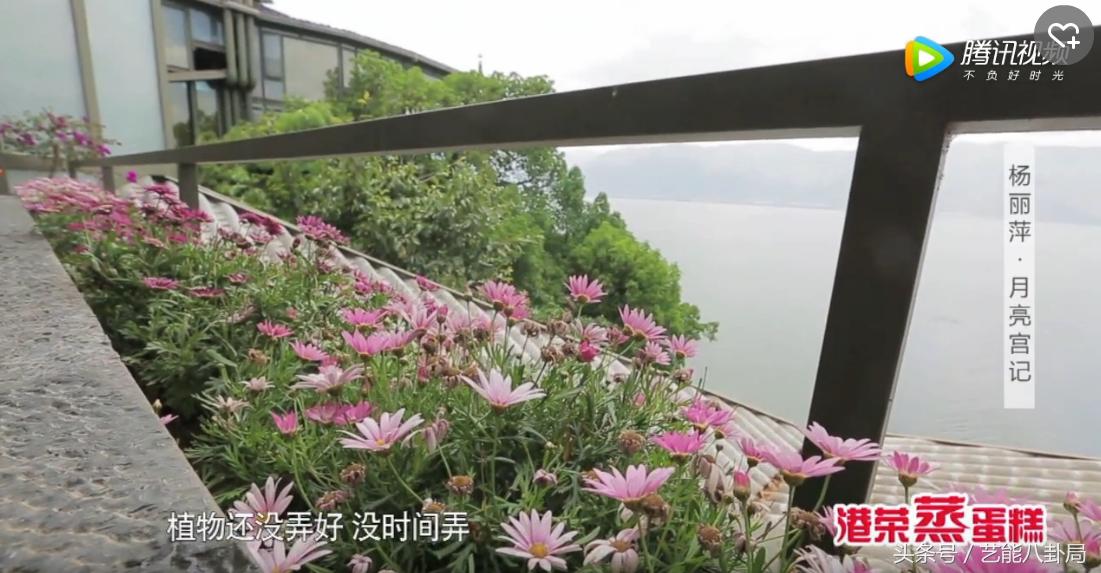 杨丽萍洱海私宅,杨丽萍洱海宫殿