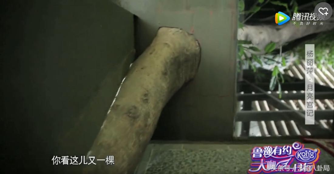 杨丽萍洱海私宅,杨丽萍洱海宫殿