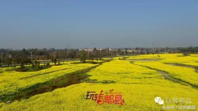 扶稳了，郫都人！郫都区13大镇在别人眼中居然是这样！