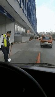 成年袋鼠打架时哪个部位支撑身体,袋鼠和袋鼠为什么喜欢打架