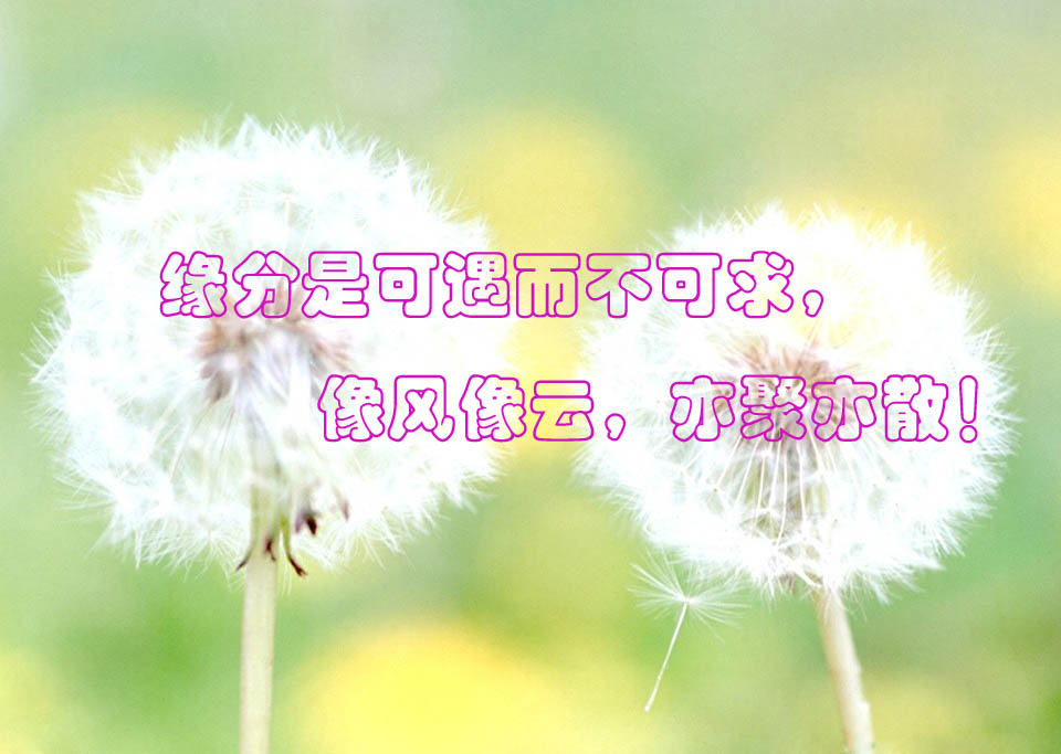 友情真的是一种缘分,一段从未谋面的友谊