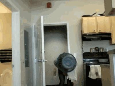 愚人节十大经典整蛊招式,愚人节整蛊大家小妙招