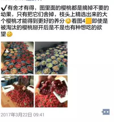 卖樱桃文案高级感朋友圈,朋友圈售卖樱桃文案