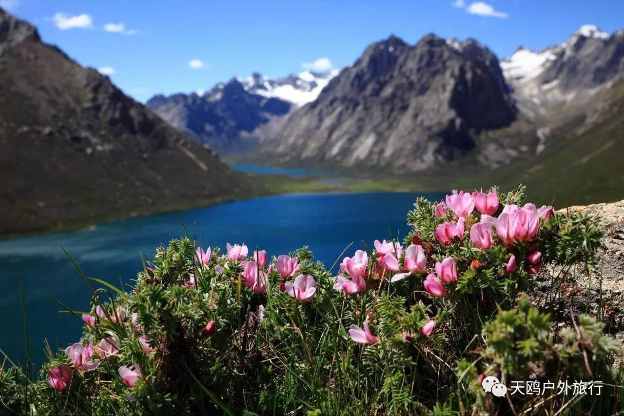 甘青川自驾游，别错过天神的后花园——年宝玉则，集三地之精华