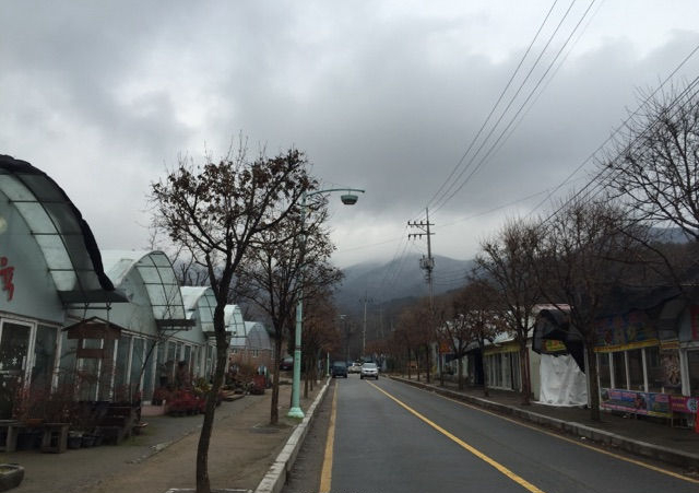 参观多肉基地,多肉探访