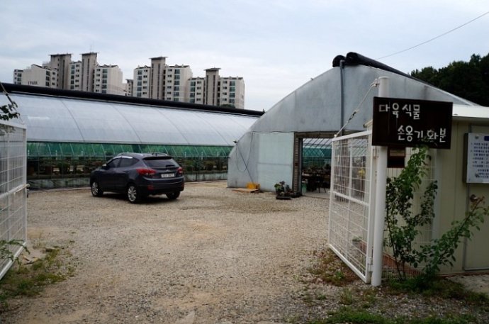 参观多肉基地,多肉探访