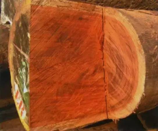 红松木材的密度和硬度对照表,100种木材硬度对照表榉木