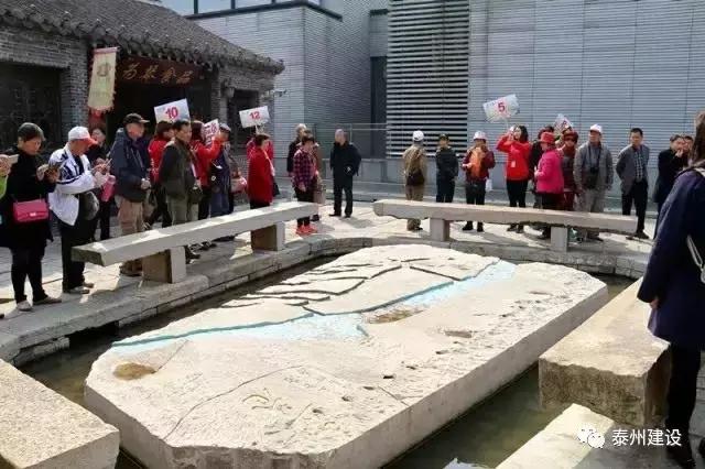 广东首次开往泰州的“花境”梦东南专列近600名游客畅游稻河湾