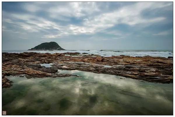 清明深圳周边一日游好去处,深圳仙湖植物园清明踏青赏花
