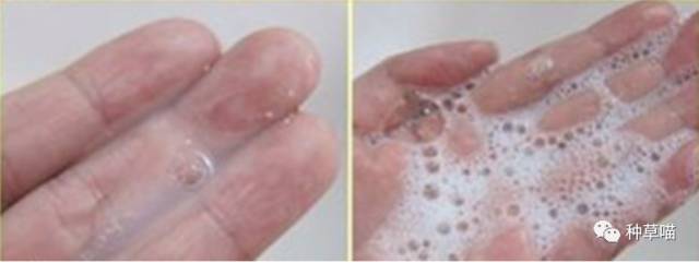 公认的最好用的5款洗发水,分享下目前正在使用的几款洗发水