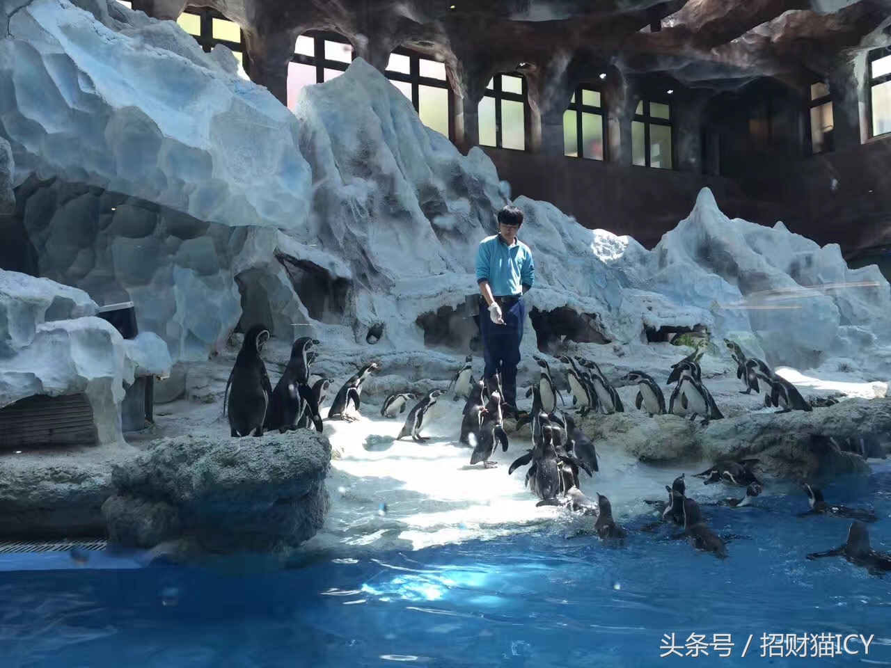 珠海长隆奇幻之旅,广州珠海长隆两天一夜攻略