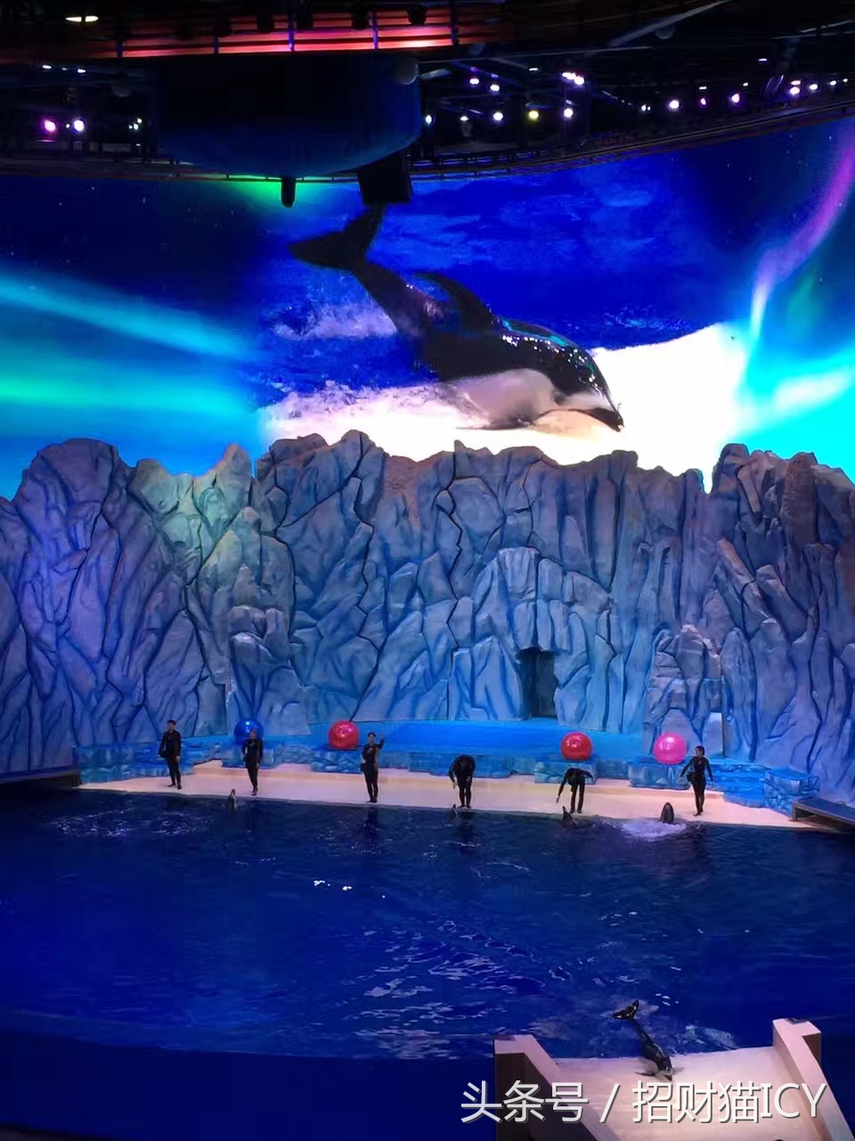 珠海长隆奇幻之旅,广州珠海长隆两天一夜攻略