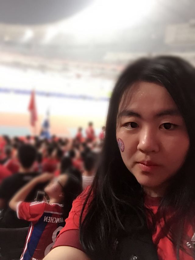 中国球迷唱南部之星,南部之星三冠王拜仁慕尼黑