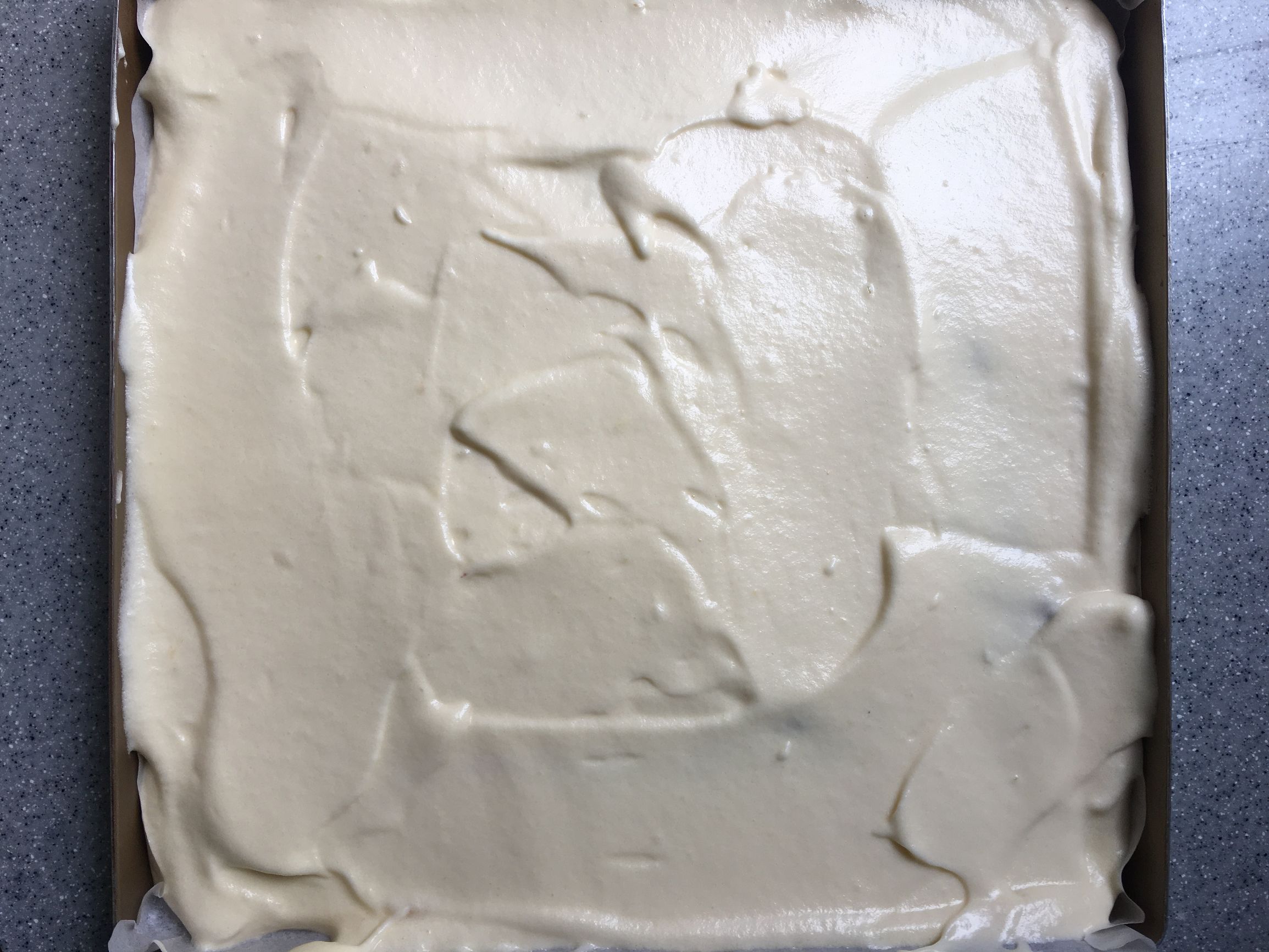 黑白花奶牛与娟姗奶牛的区别,黄白花奶牛好还是黑白花奶牛好