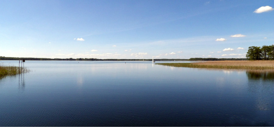 强迫症如何自我疗愈,强迫症的自我治疗方法