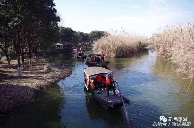 沙家浜，竹林幽径渔翁垂钓芦荡涛声
