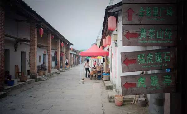 清明深圳周边一日游好去处,深圳仙湖植物园清明踏青赏花