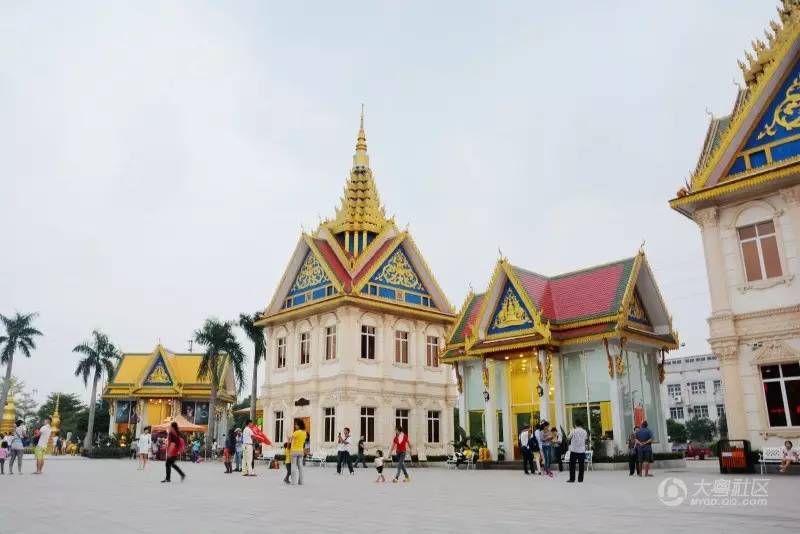 清明深圳周边一日游好去处,深圳仙湖植物园清明踏青赏花
