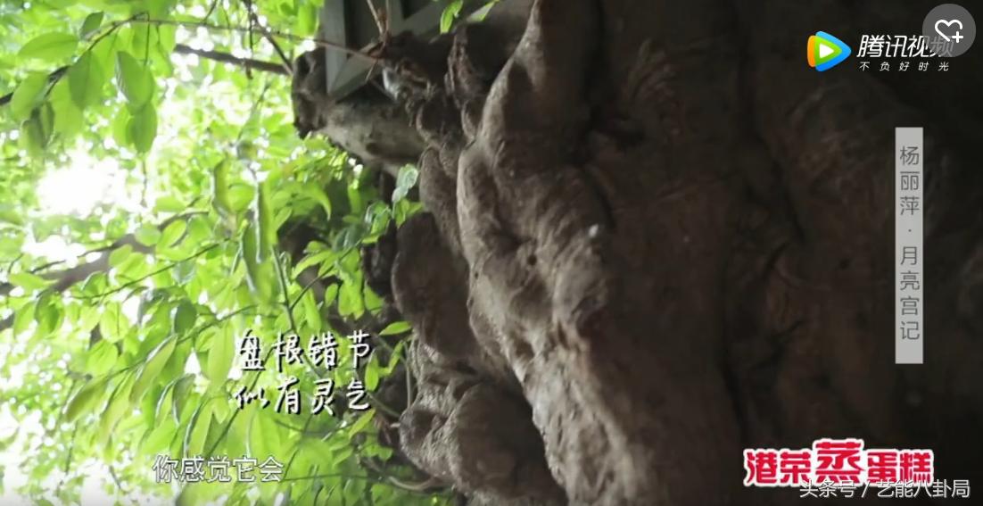 杨丽萍洱海私宅,杨丽萍洱海宫殿