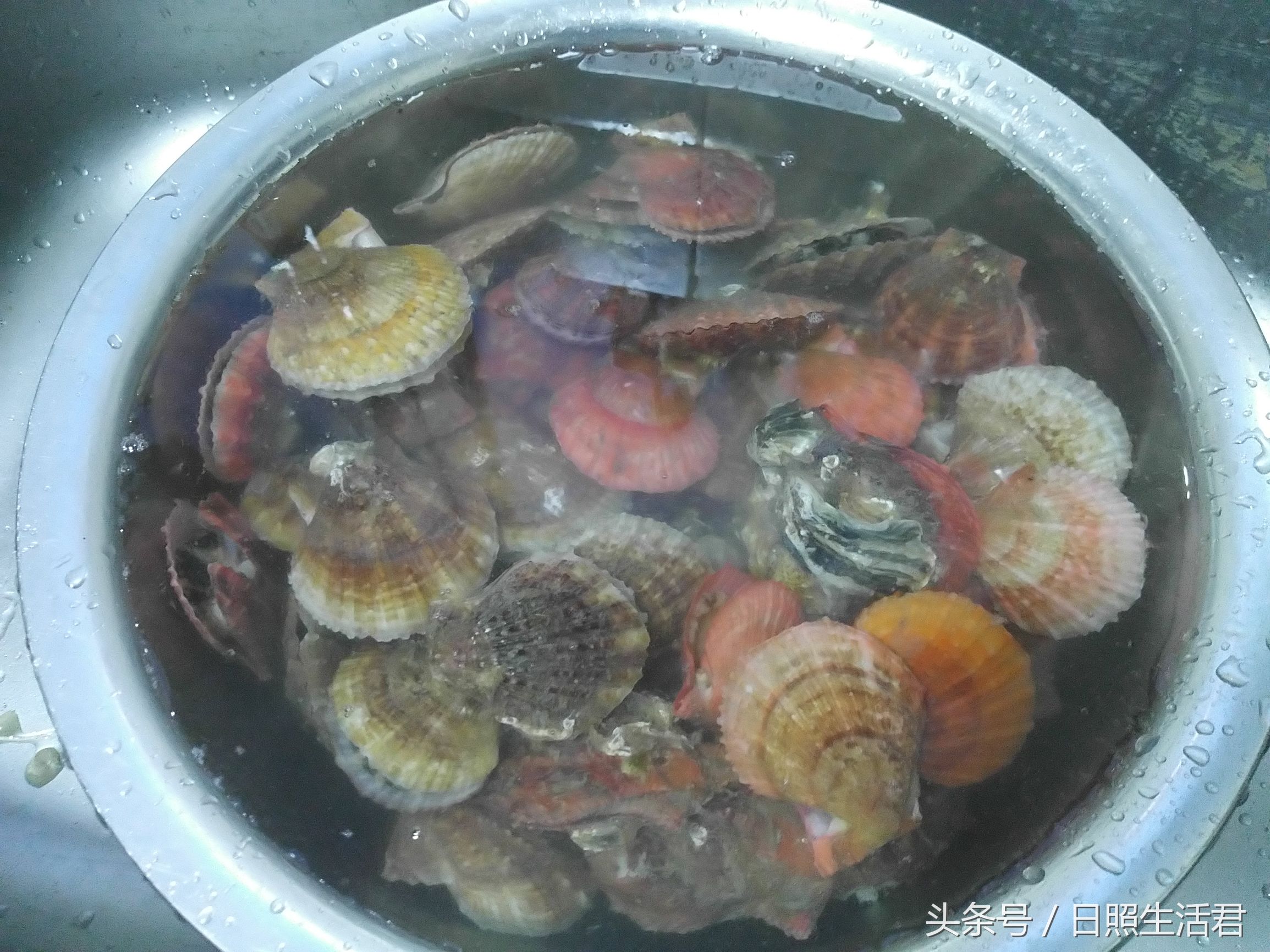 日照的海鲜还敢不敢吃了,日照的海鲜现在能不能吃