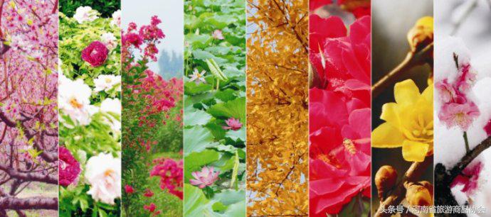 听不懂的故事视频大全,听不完故事说不完