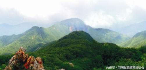 听不懂的故事视频大全,听不完故事说不完