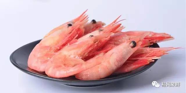 全球最优质的北极甜虾,正宗日本北极虾