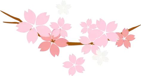 宣武医院吴浩告诉你颈椎、腰椎犯病该怎么办