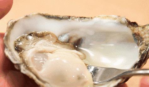 逆天啦,海鼎荟厦门生蚝