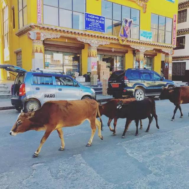 世界上最幸福的地方在哪,世界上最幸福的地方是哪个国家