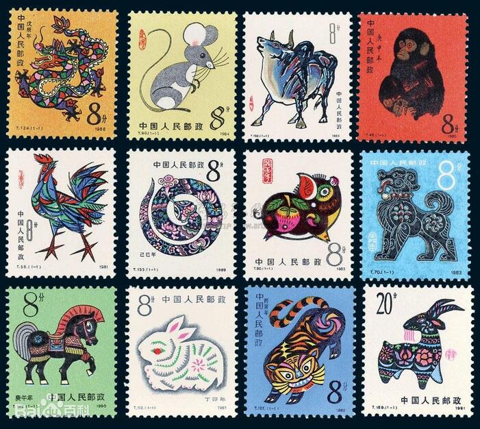 聊聊我们最熟悉的黄芩,熟记十二属相的技巧