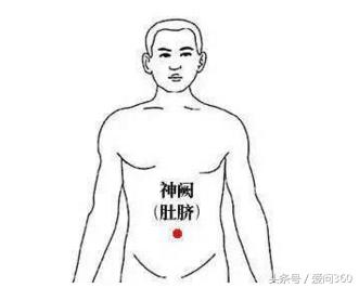 解决身体湿气的中药方子,身体湿气重吃什么药最好最快排湿