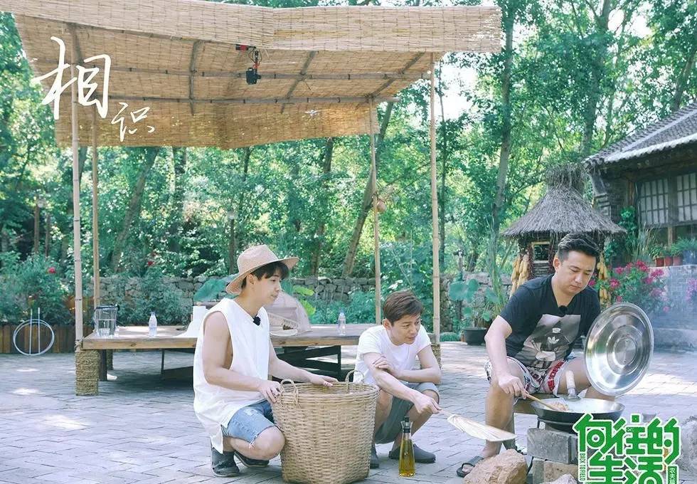 向往的生活口碑最好的一期,向往的生活每一期套路