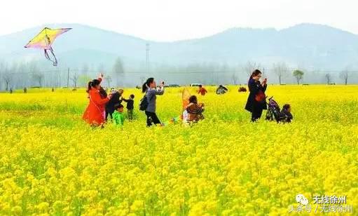 徐州桃花美景,徐州春天又见美好游玩