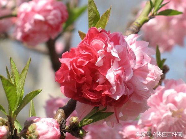 郑州市周边有哪些免费的公园,郑州十大免费公园排名