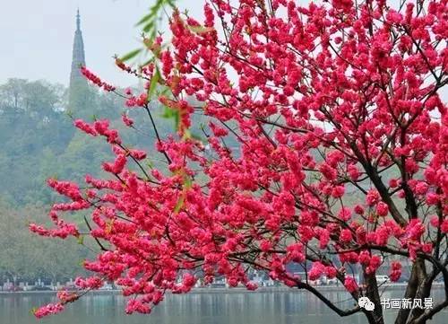 踏青的优美古诗词名句经典,描写春天出游踏青的古诗词