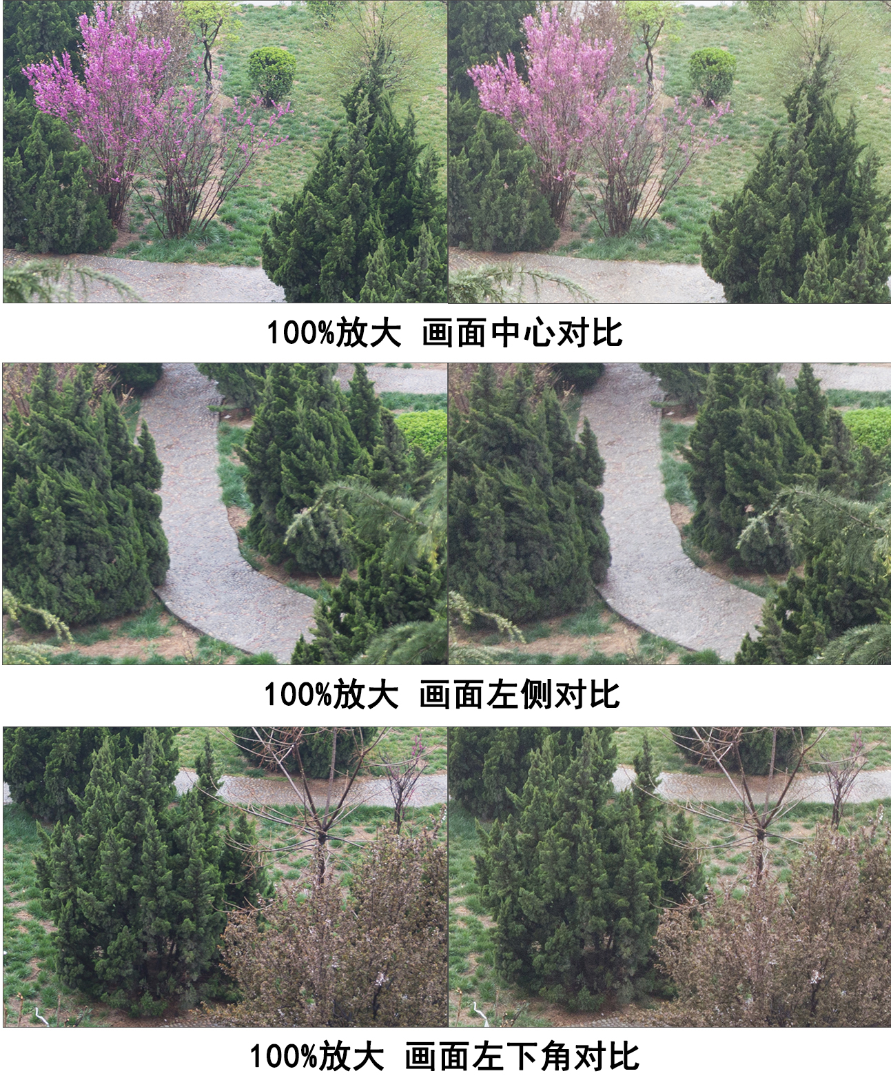 单反和手机拍照为啥差别那么大,单反手机照相效果对比