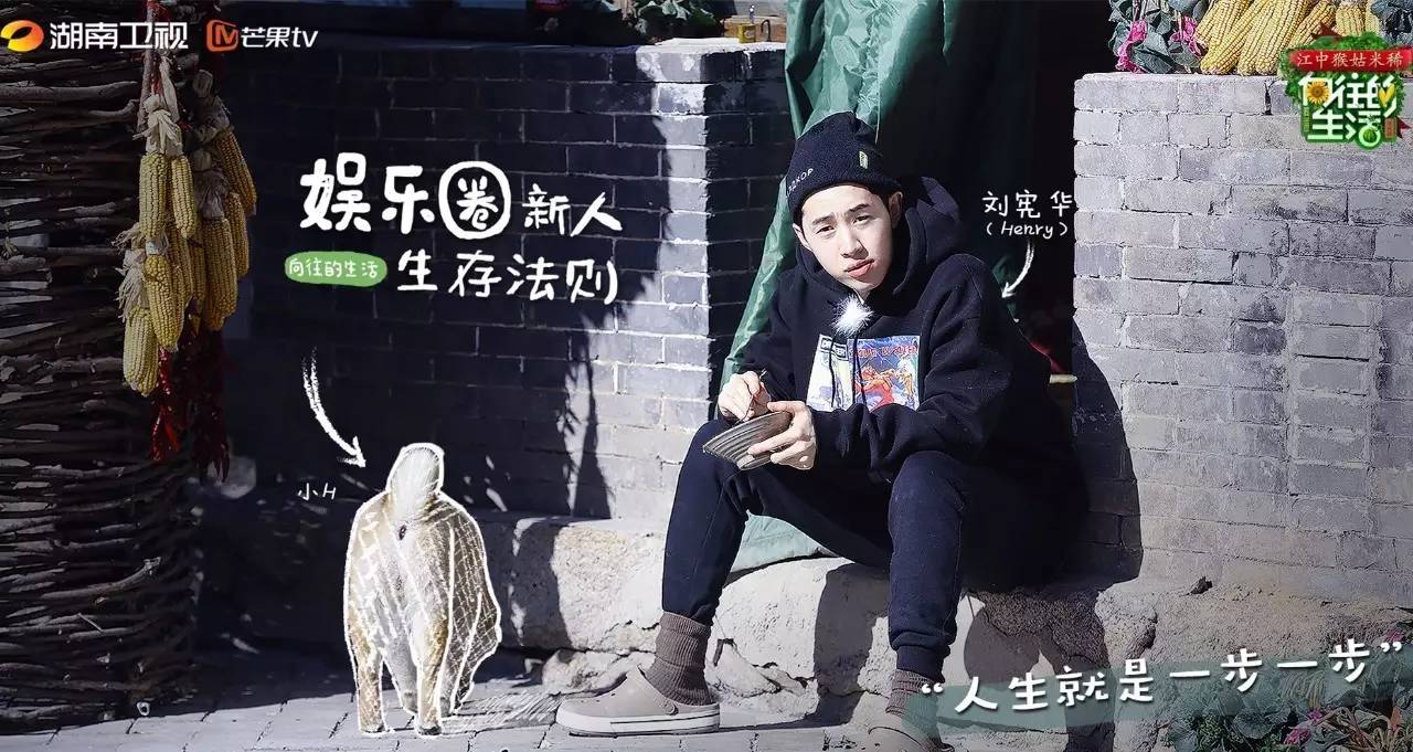 向往的生活口碑最好的一期,向往的生活每一期套路