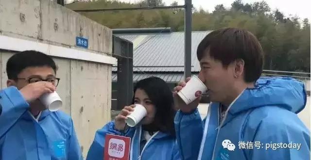 养猪大佬丁磊,丁磊谈养猪前景如何