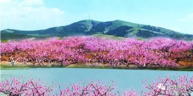徐州桃花美景,徐州春天又见美好游玩