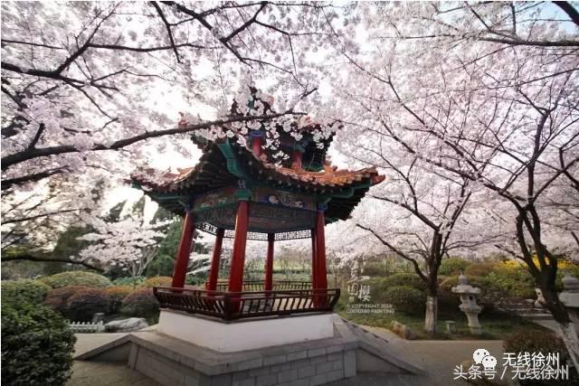 徐州桃花美景,徐州春天又见美好游玩