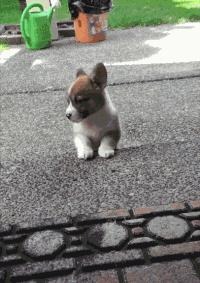 内涵段子第5期：今天愚人节，希望大家能玩点有些技术含量的